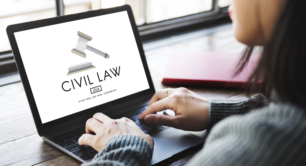 Person looking at a Civil Law website